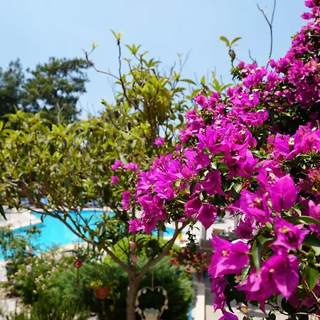 Hotel Tunacan